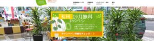 グリーンフォエバー 観葉植物レンタル
