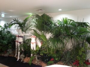 観葉植物レンタル_イベント
