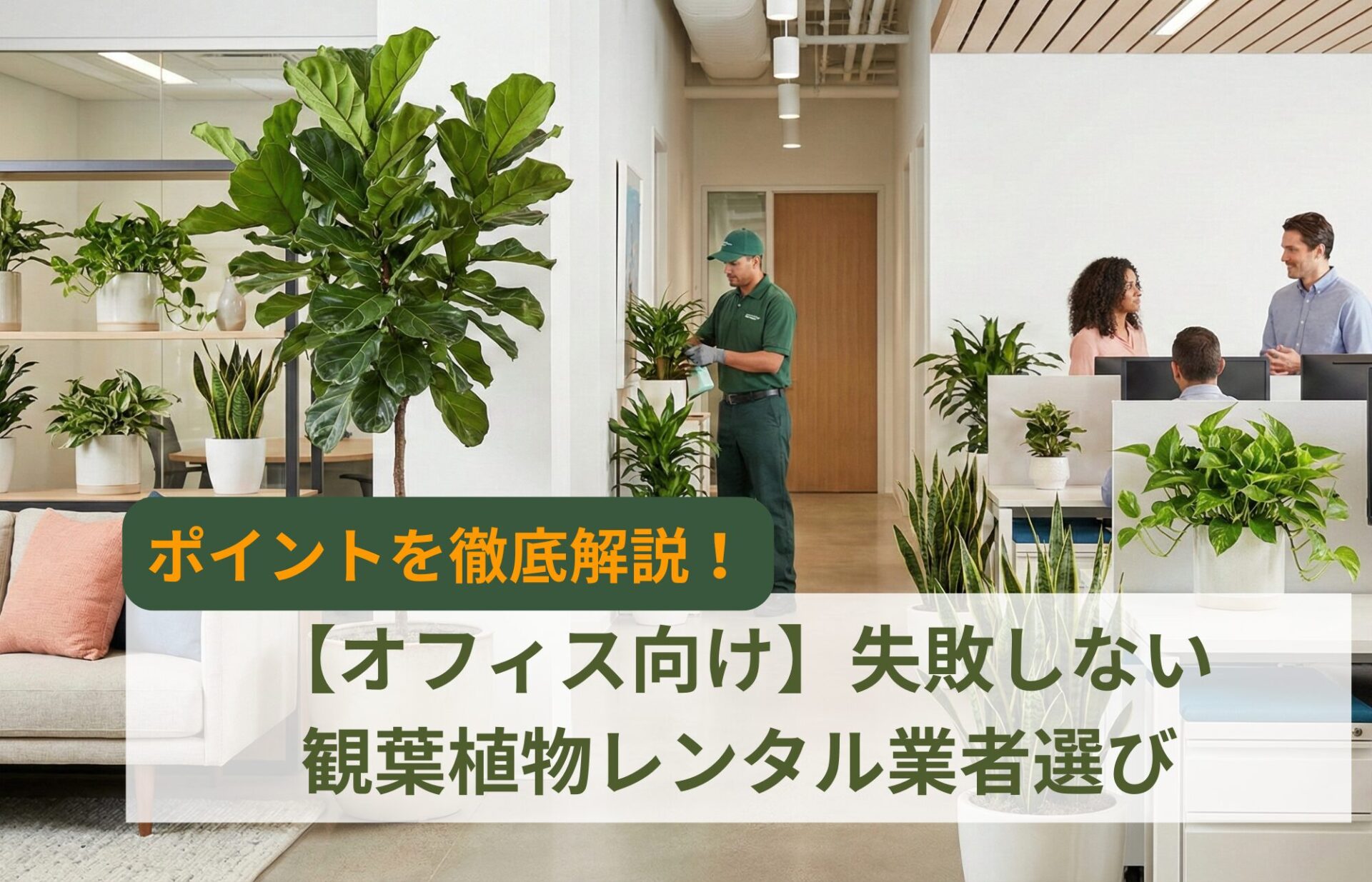 観葉植物レンタル-業者
