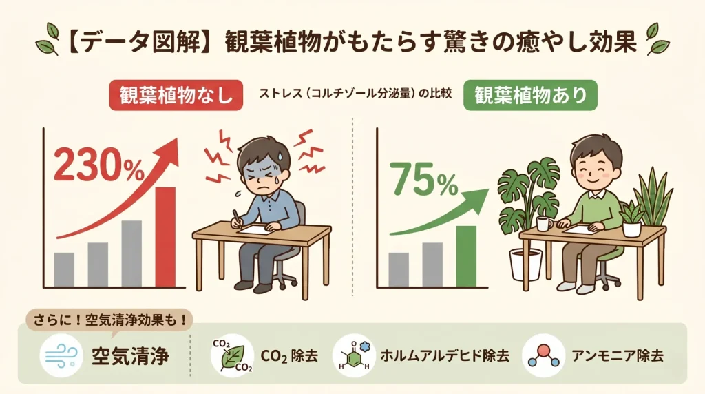 観葉植物がもたらす癒やし効果