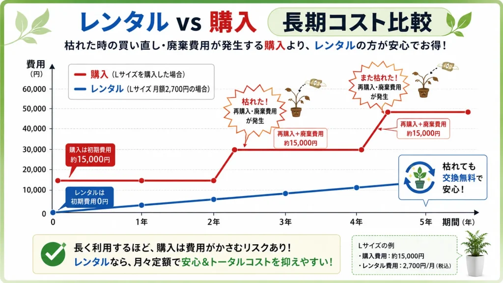 レンタル vs 購入の比較グラフ