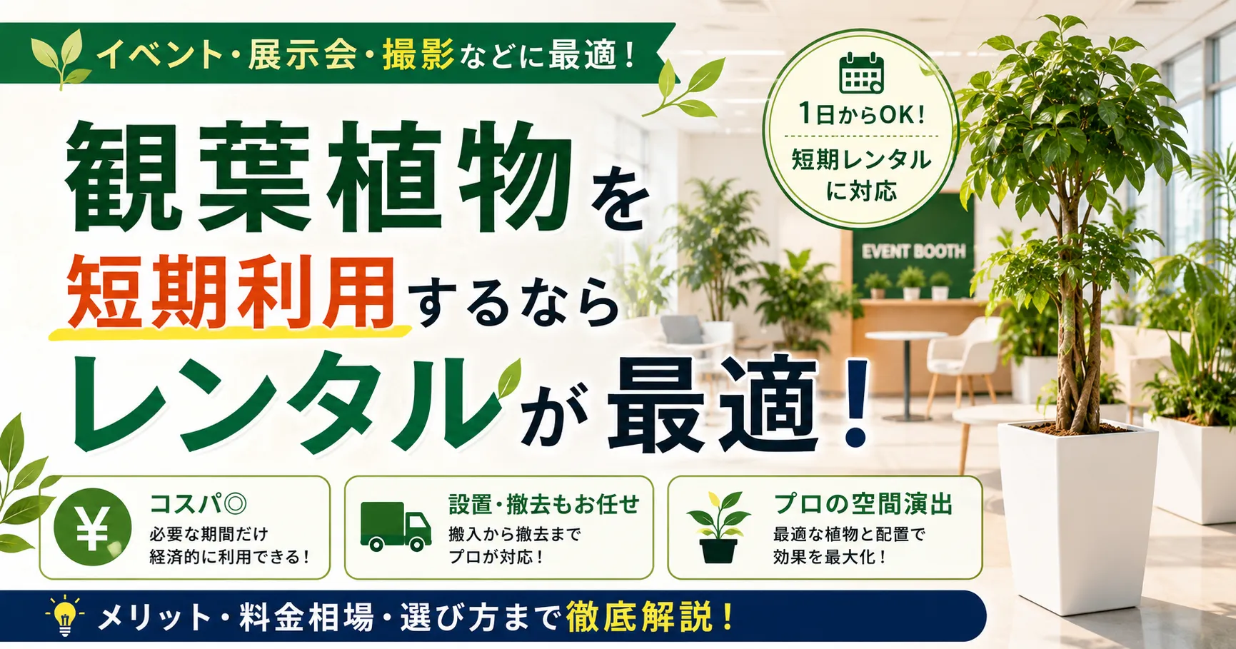観葉植物 短期利用