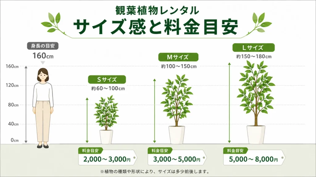 サイズ感と料金目安